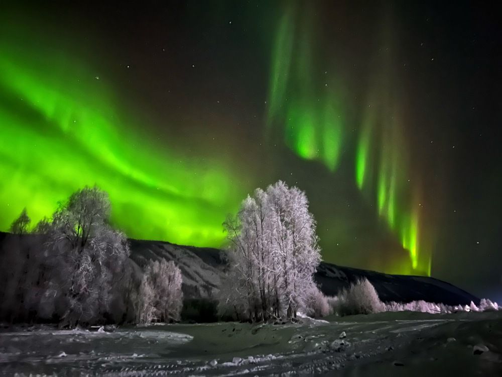 Photograph by Зинаида