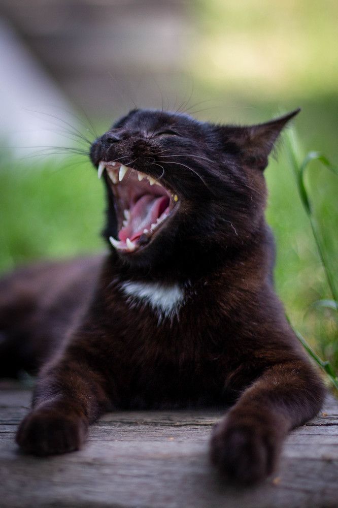 Photograph by Артем Талмаза