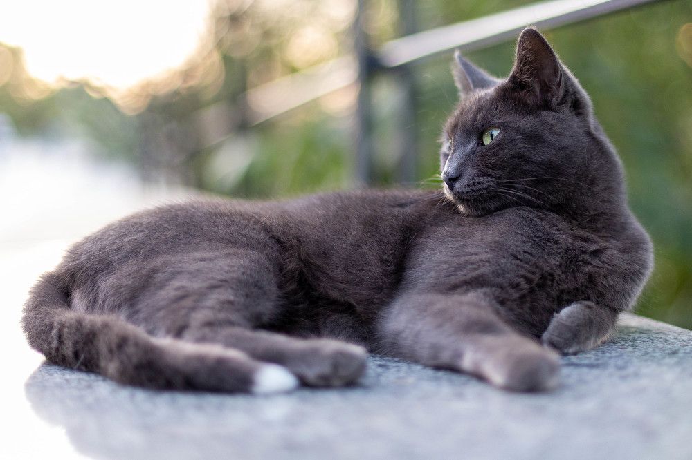 Photograph by Артем Талмаза