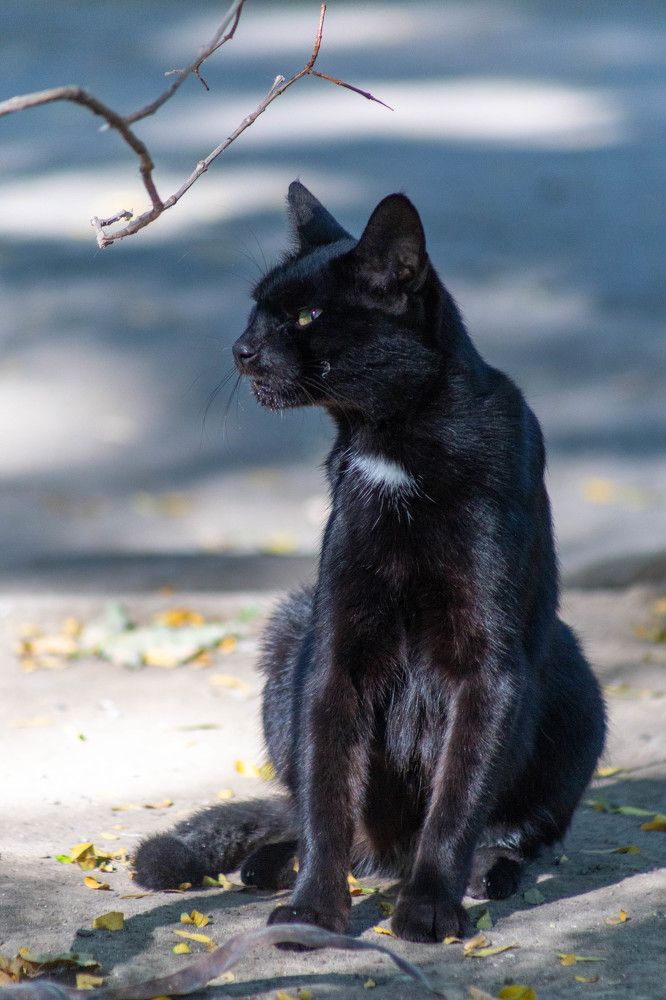 Photograph by Артем Талмаза