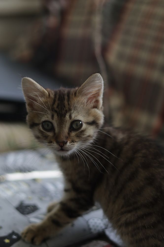 Photograph by Ксения Золотарь