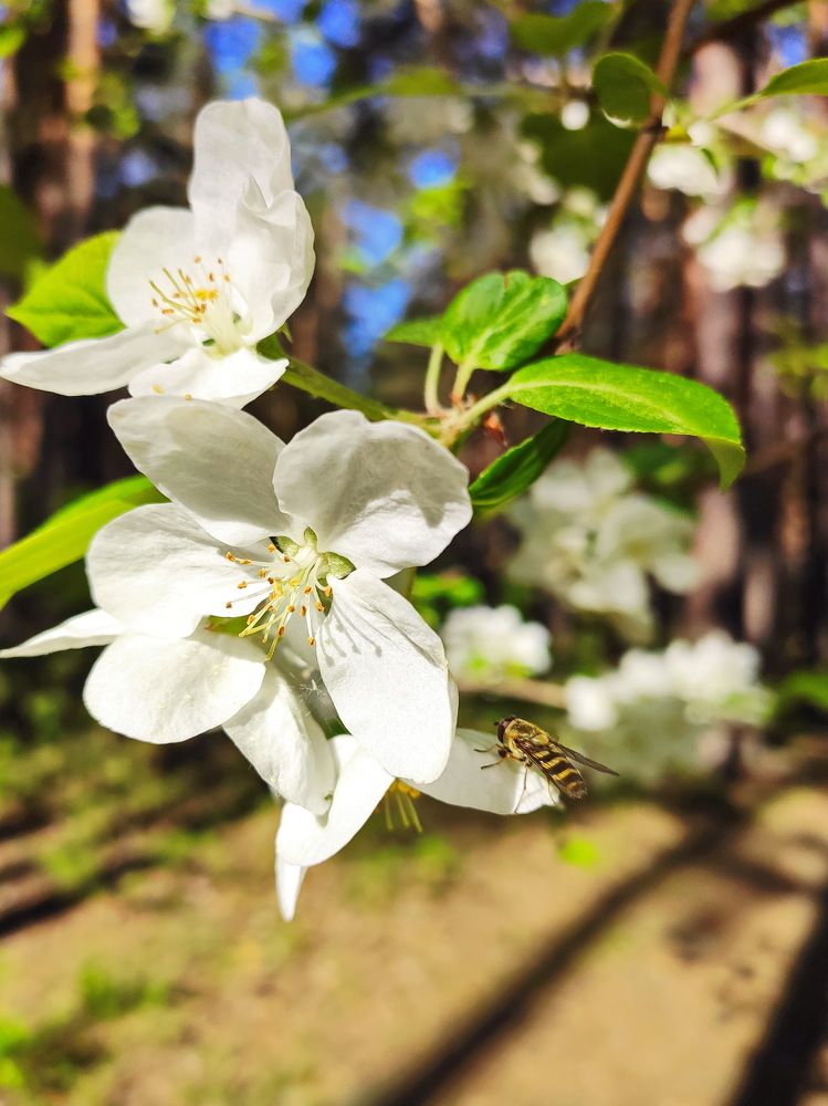 Photograph by Виталий Черепенькин