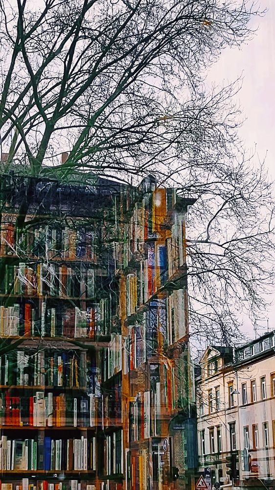 Фотография автора Невмержицкий Валерий