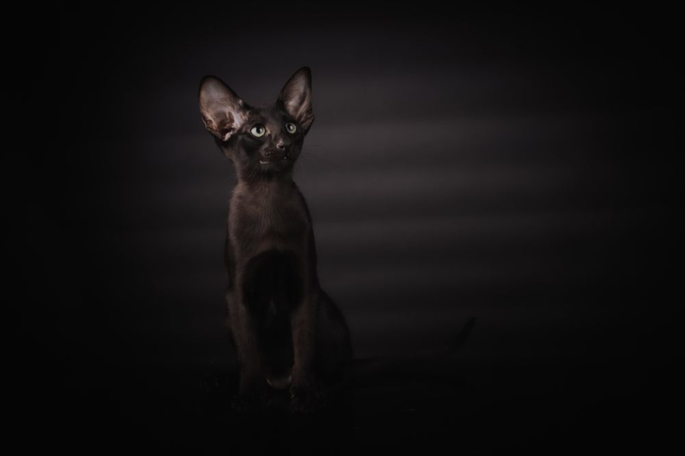 Photograph by Альвина Кузнецова