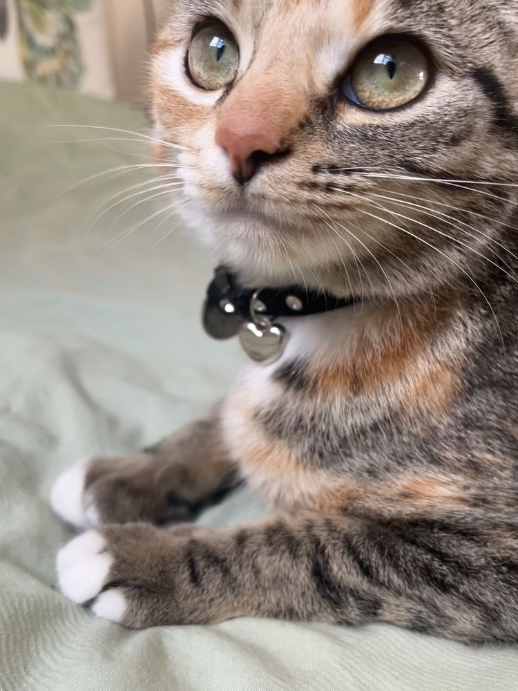 Photograph by Edward Arnold