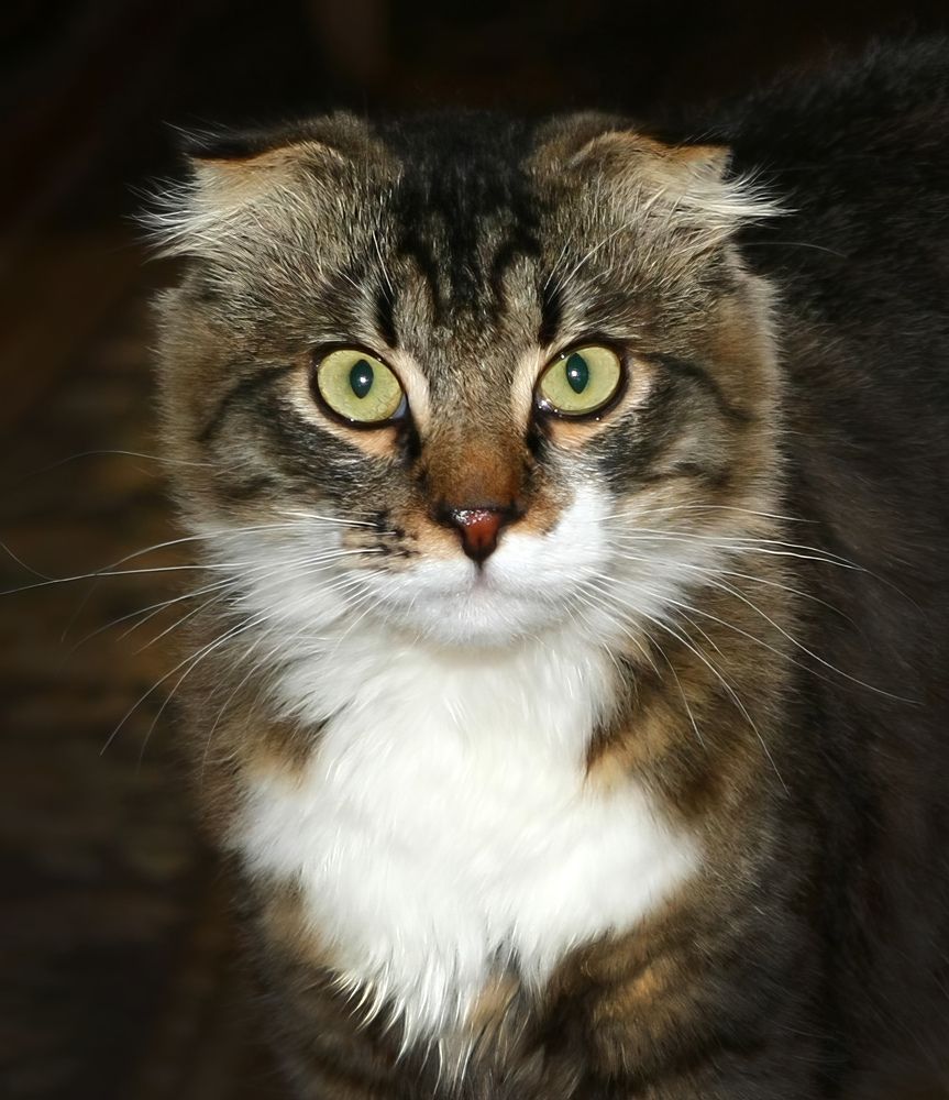 Photograph by Волынский Виктор