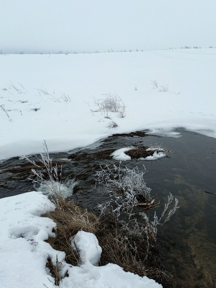 Фотография автора Максим Штормов