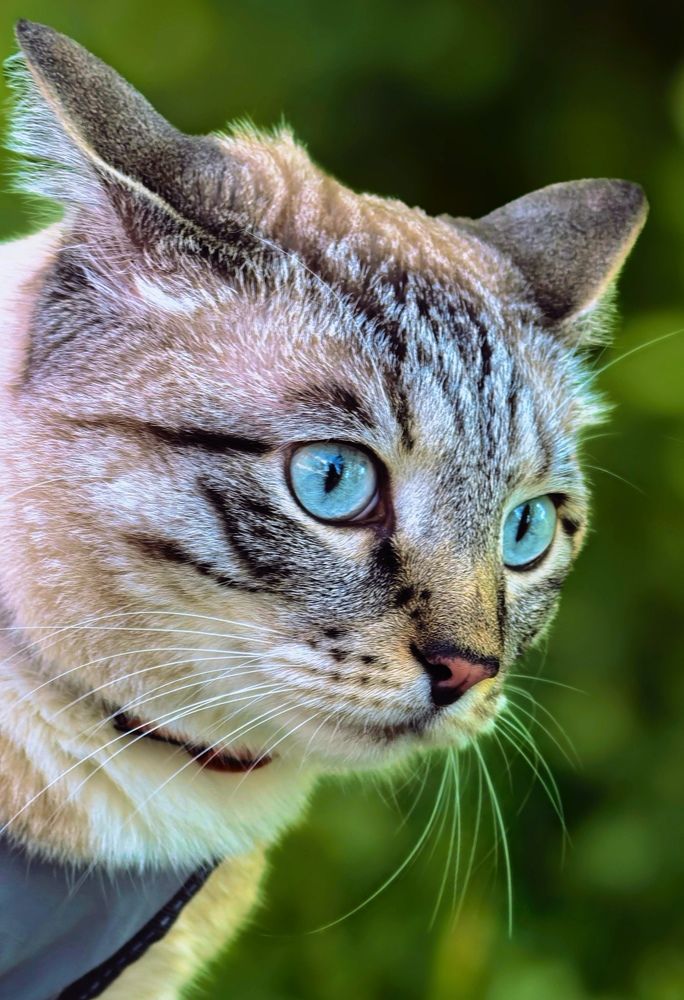 Photograph by Анна Епанчинцева