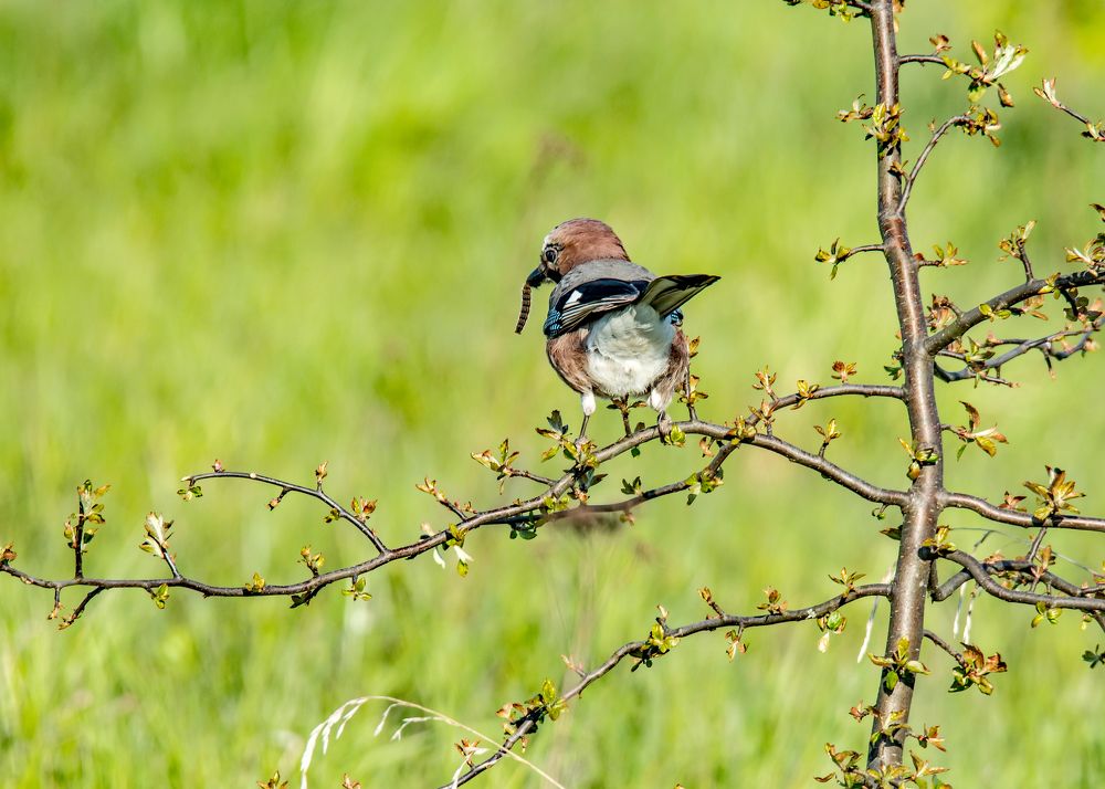 Photograph by Александр Козин