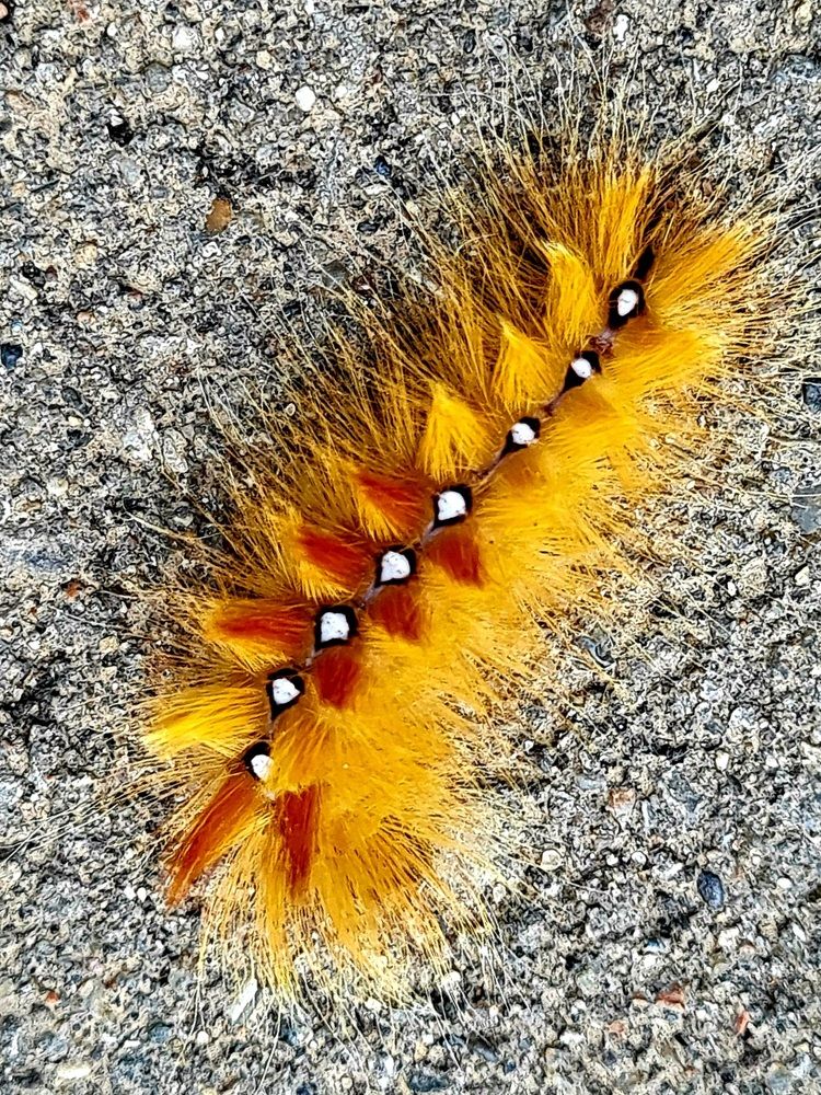 Photograph by Ирина Синягина