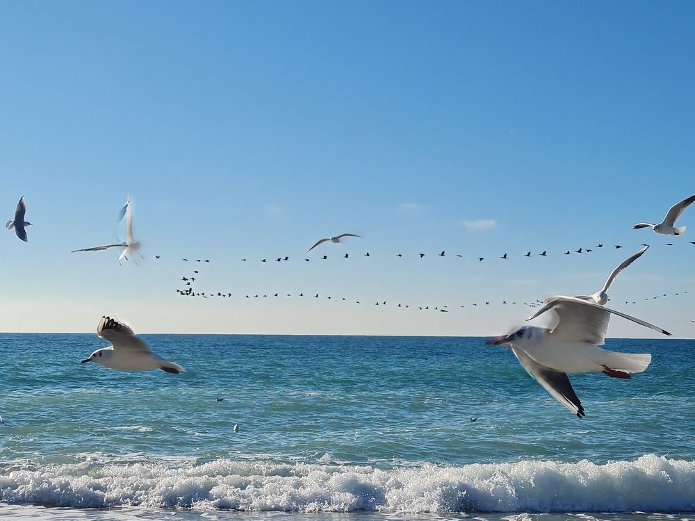 Наперегонки