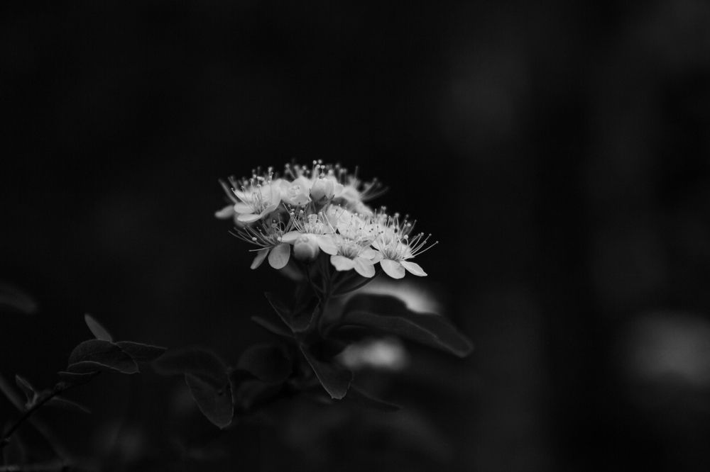 Photograph by Александр Коковихин