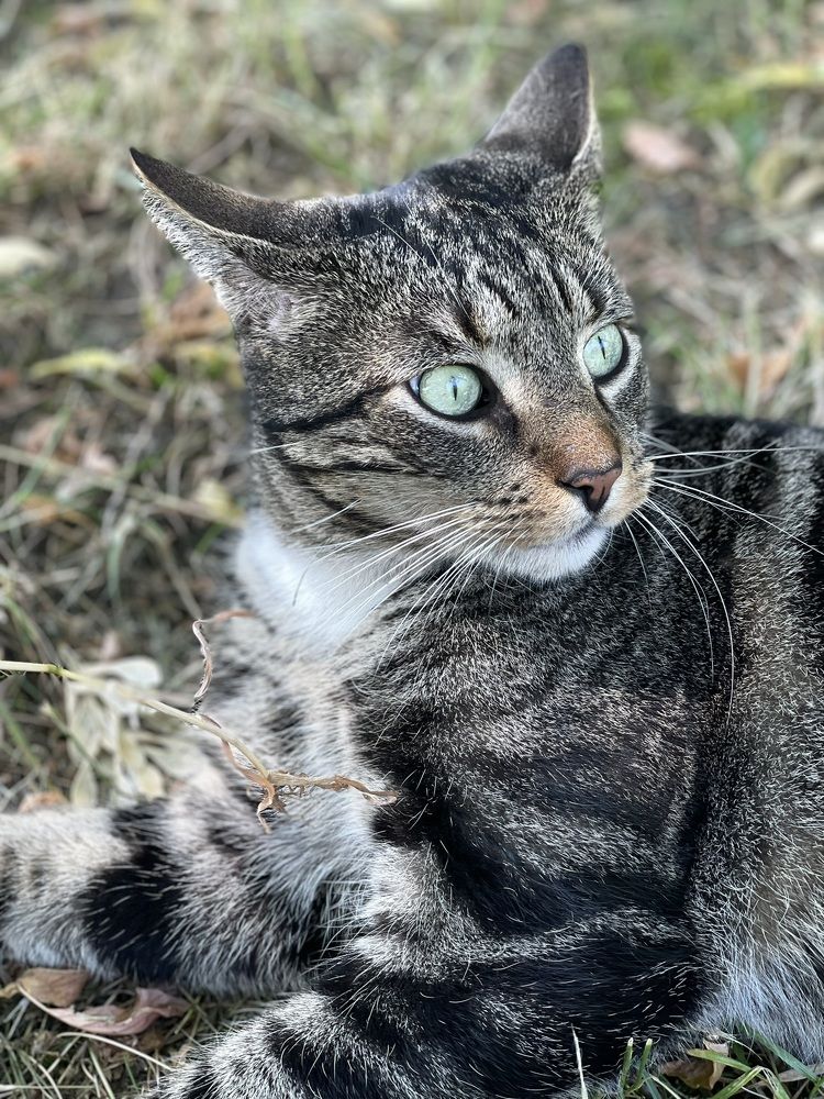 Photograph by Татьяна Дрозд