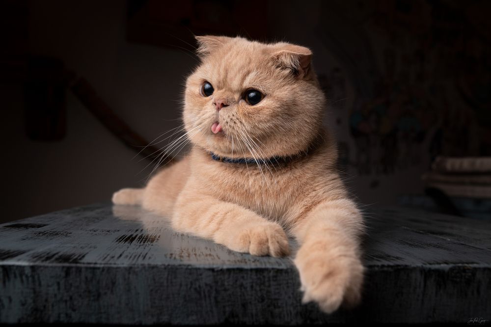 Photograph by Jean pierre