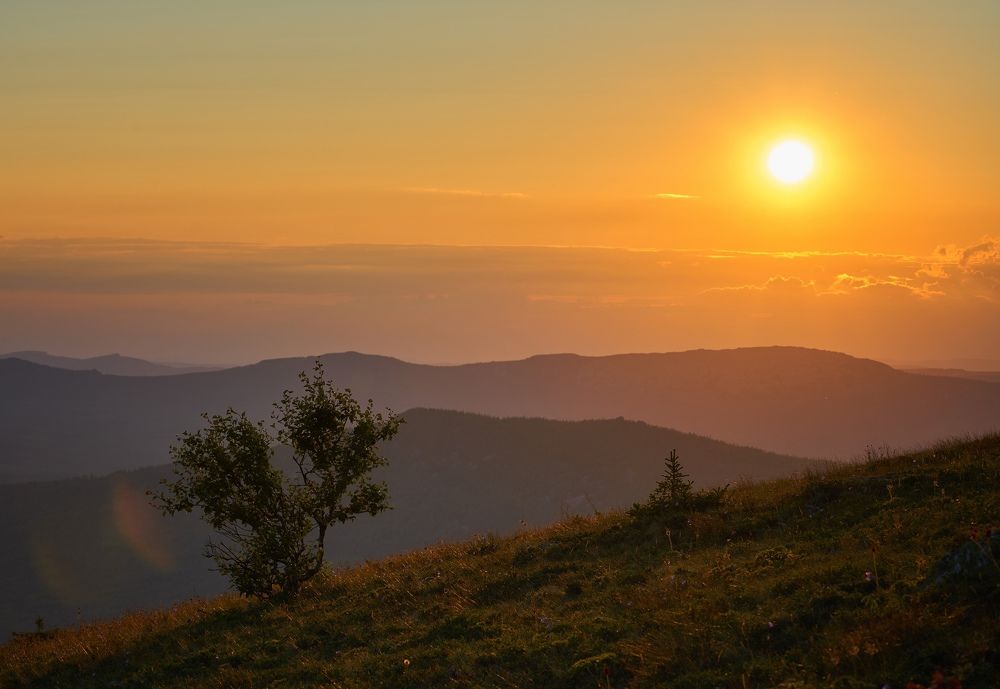 Photograph by Чевтаев Егор