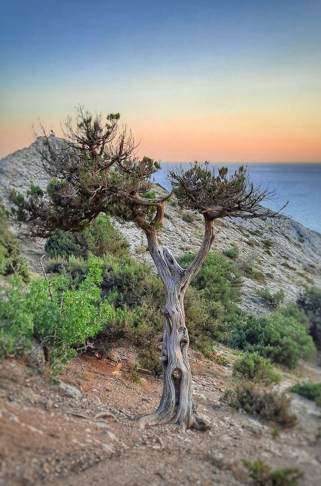 Photograph by Мария Андреева