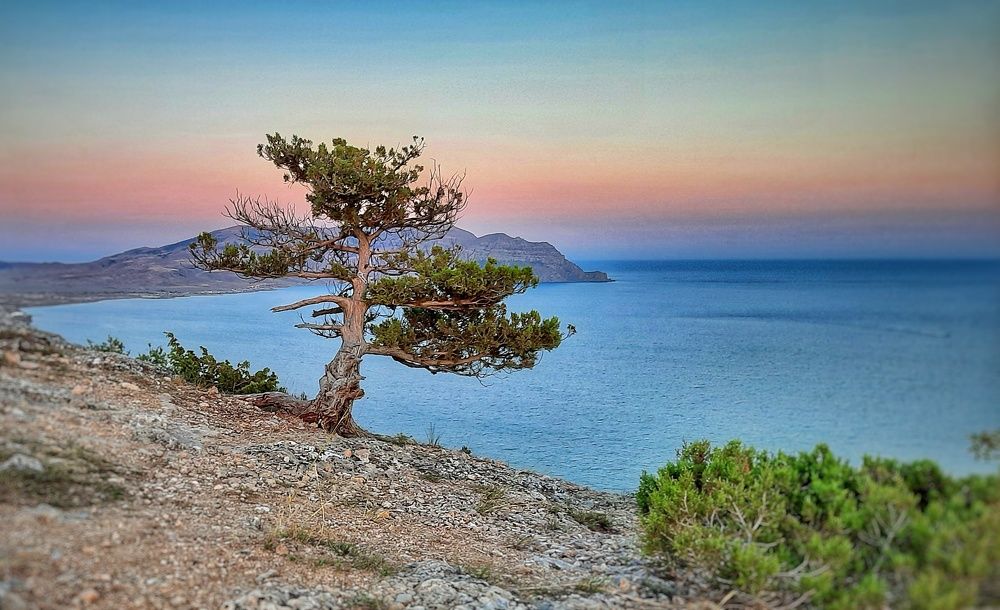 Photograph by Мария Андреева