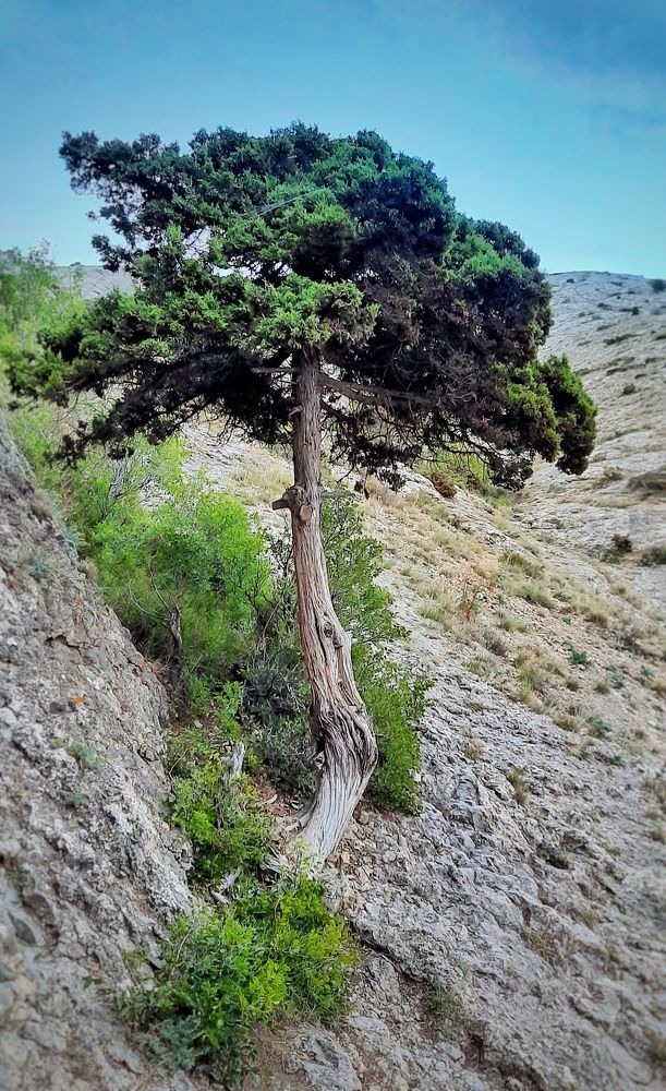 Photograph by Мария Андреева