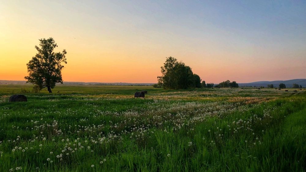 Photograph by Вадим Басов