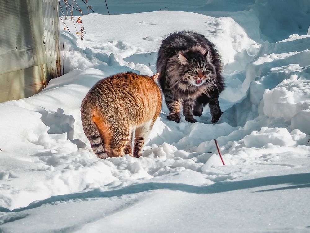 Photograph by Евгений Фазлеев