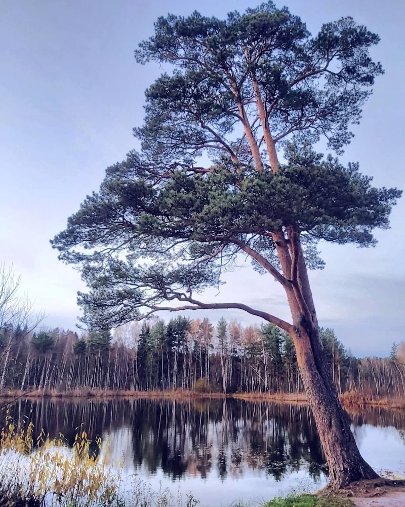 Photograph by Олег Лебедев