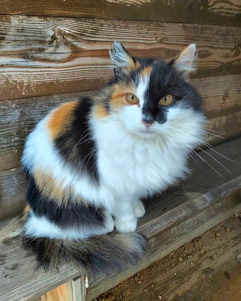 Photograph by Олег Лебедев