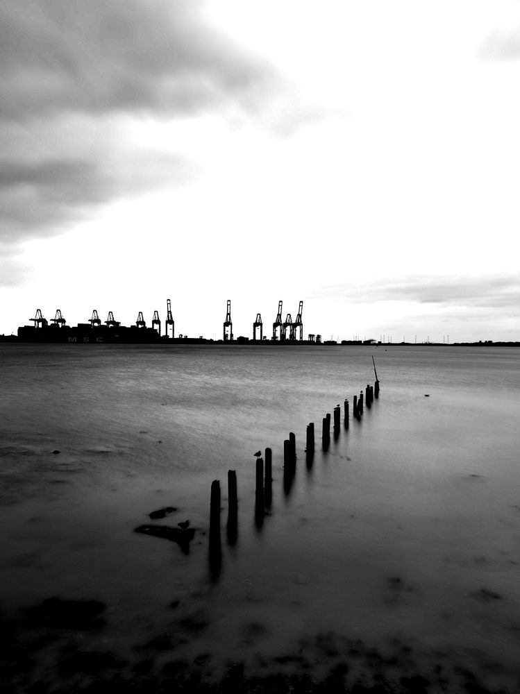 Photograph by Luca Giuseppe Carlo Gandin