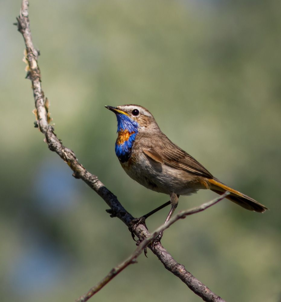 Photograph by Дмитрий Веретельников