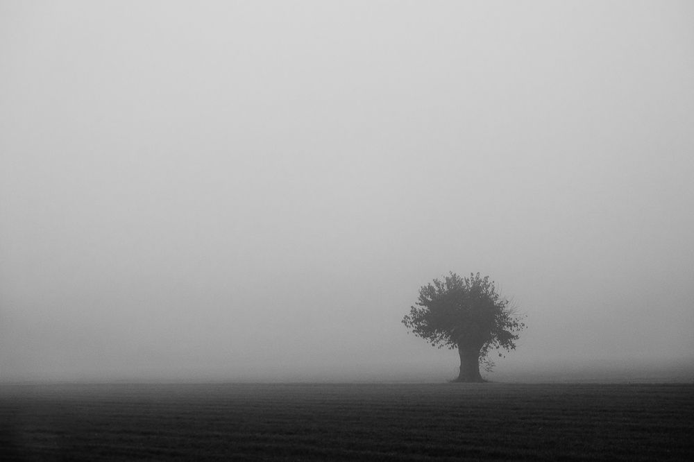 Photograph by Luca Giuseppe Carlo Gandin