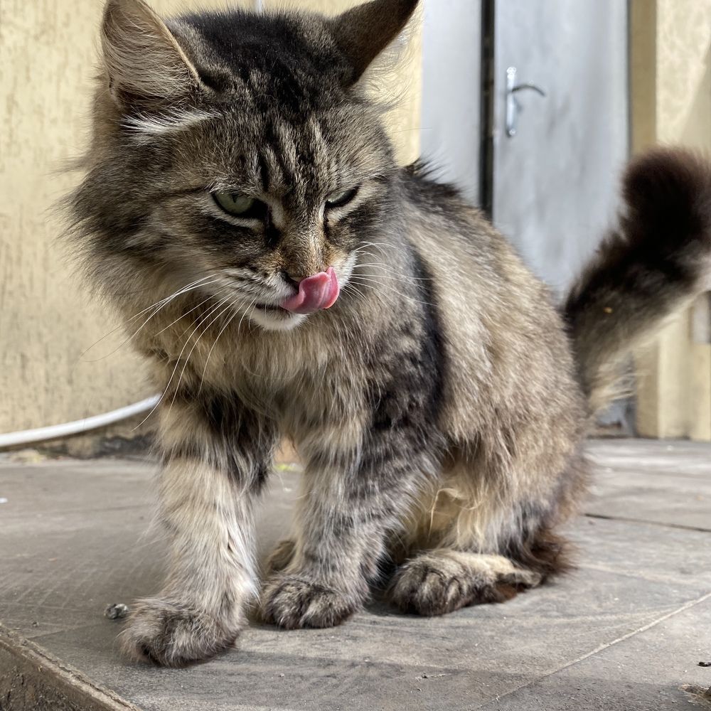 Photograph by Сергей Смирнов