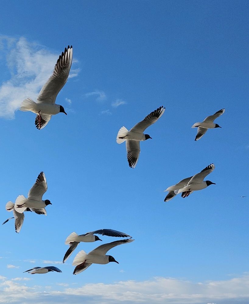 Photograph by Эльвира