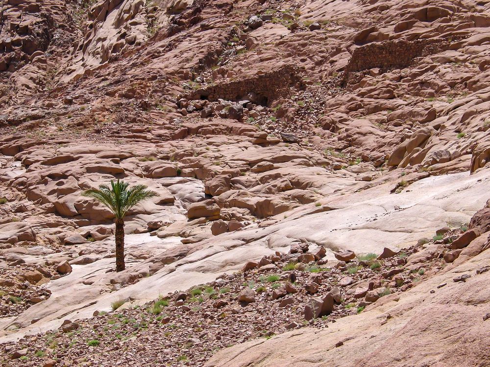 Photograph by Волынский Виктор