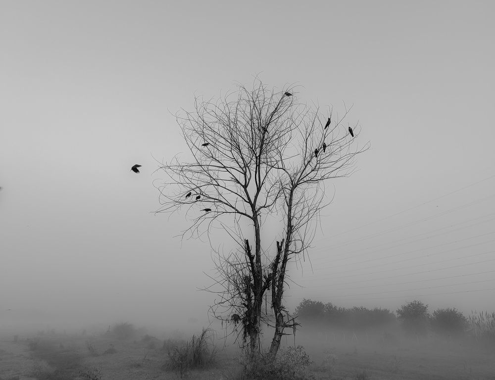 Photograph by Smriti Joys