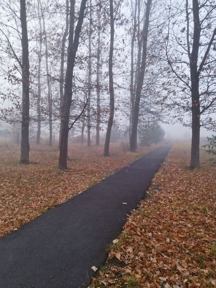 Photograph by Людмила Прибылова