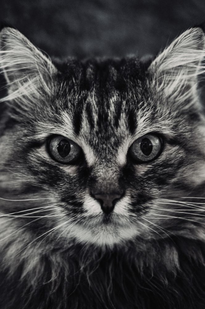 Photograph by Ничикова Алина Владимировна