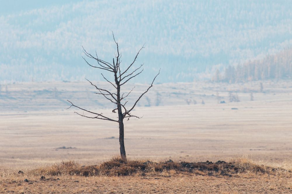 Photograph by Мешков Кирилл