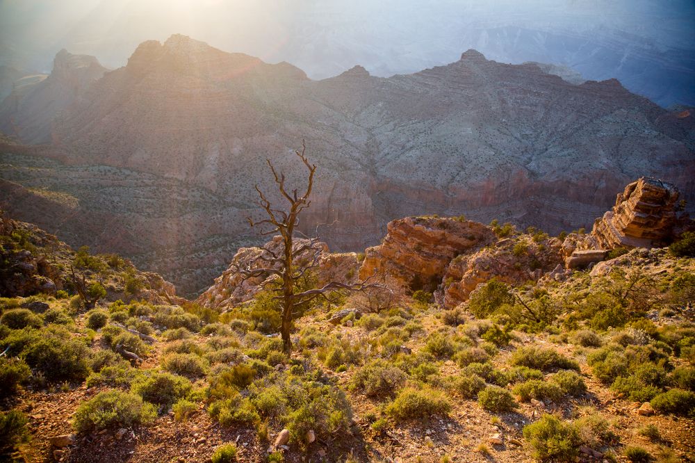 Фотография автора Mariia Trofimova