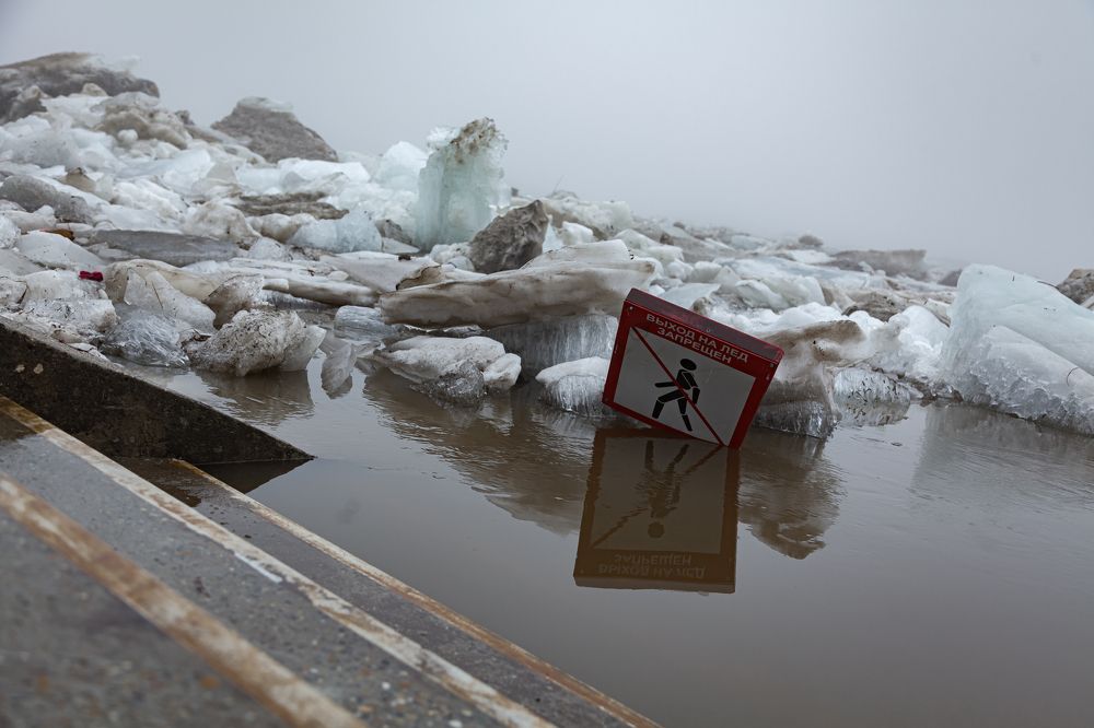 Photograph by Евгения Гуляева