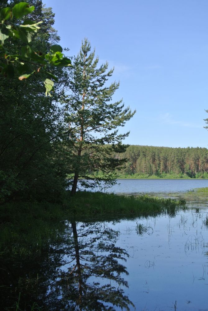 Photograph by Irina Kolotova