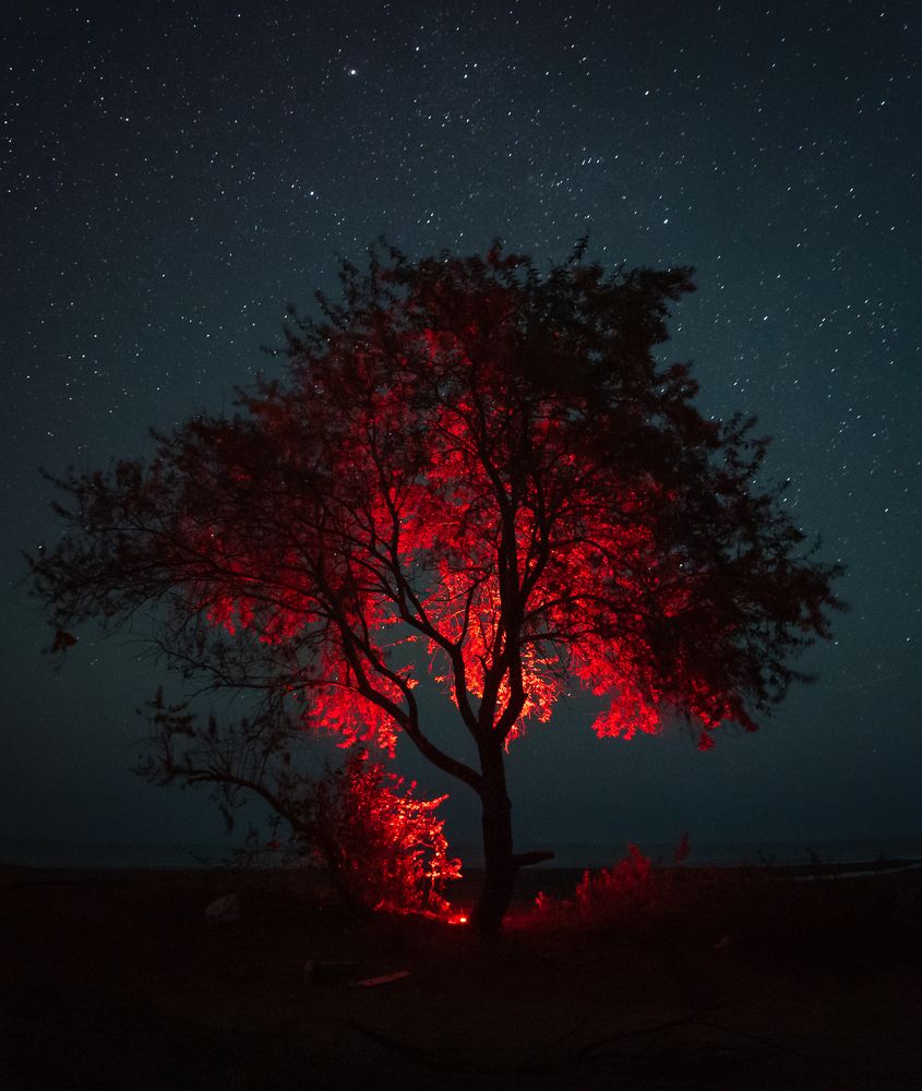 Photograph by Антон Бабичев