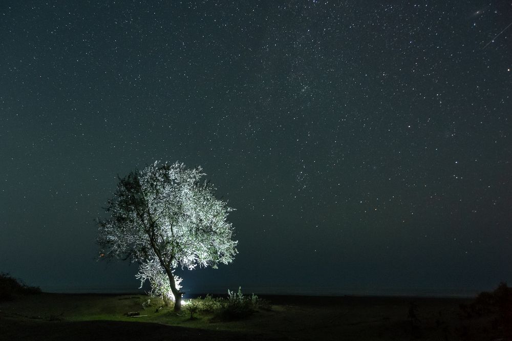 Photograph by Антон Бабичев