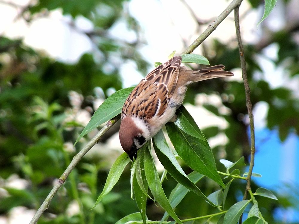 Фотография автора светлана