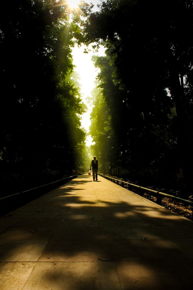 Фотография автора Vishv jadav