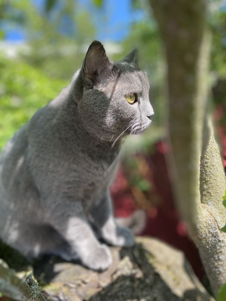 Photograph by Анастасия Моисеева