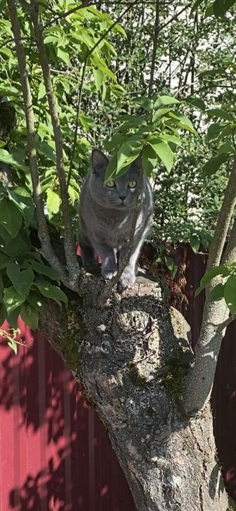 Photograph by Анастасия Моисеева