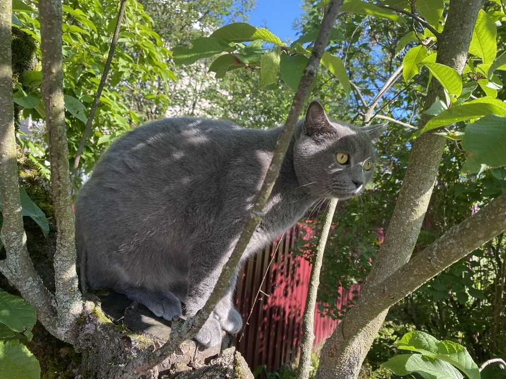 Photograph by Анастасия Моисеева