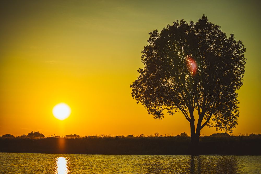 Photograph by Саша Корнюшин