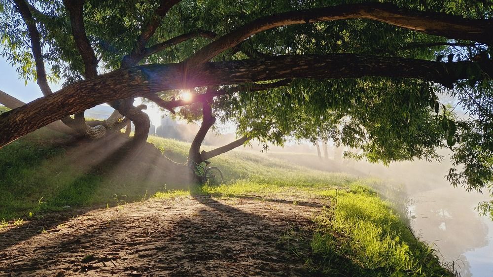 Photograph by Rasita Li