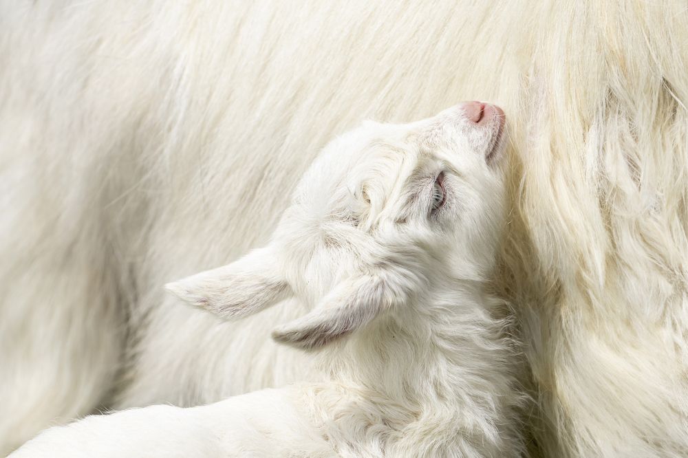 Фотография автора Ирина Зайцева