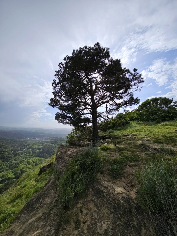 Photograph by Natali AB